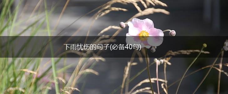 下雨忧伤的句子(必备40句),第1张