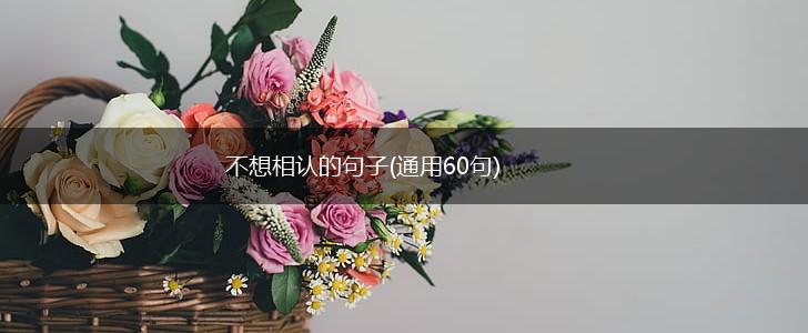 不想相认的句子(通用60句),第1张