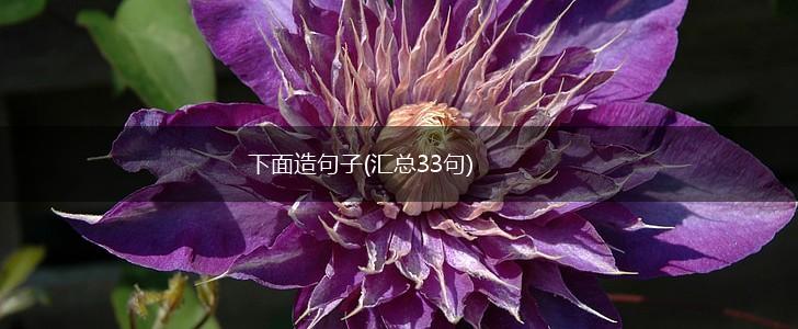 下面造句子(汇总33句),第1张