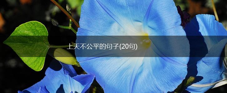 上天不公平的句子(20句),第1张
