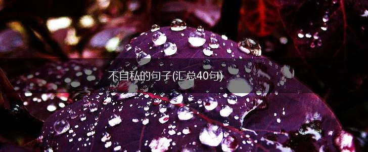 不自私的句子(汇总40句),第1张