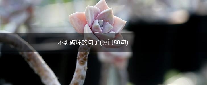 不想破坏的句子(热门80句),第1张