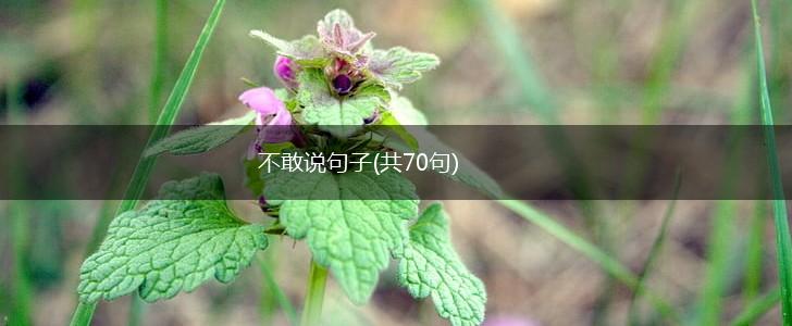 不敢说句子(共70句),第1张