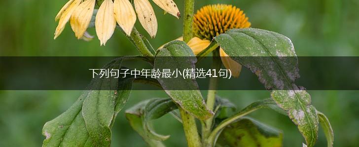 下列句子中年龄最小(精选41句),第1张