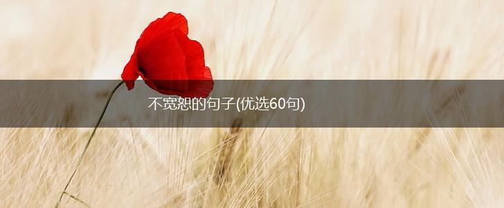 不宽恕的句子(优选60句),第1张