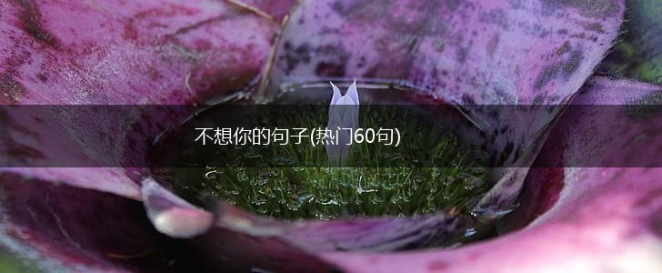不想你的句子(热门60句),第1张