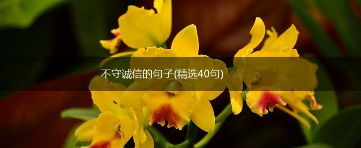 不守诚信的句子(精选40句),第1张