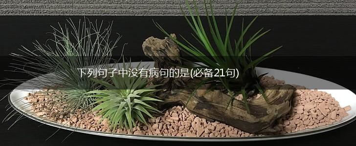 下列句子中没有病句的是(必备21句),第1张