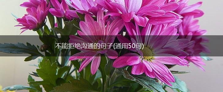 不能拒绝沟通的句子(通用50句),第1张