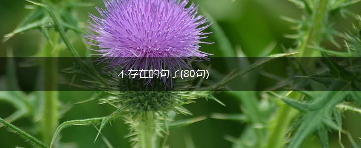 不存在的句子(80句),第1张