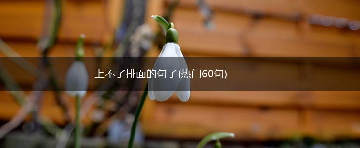 上不了排面的句子(热门60句),第1张