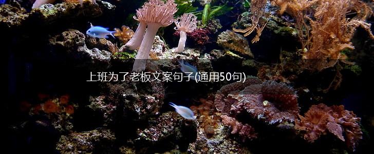 上班为了老板文案句子(通用50句),第1张
