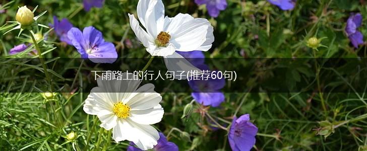 下雨路上的行人句子(推荐60句),第1张