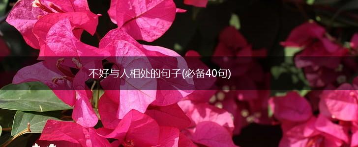 不好与人相处的句子(必备40句),第1张