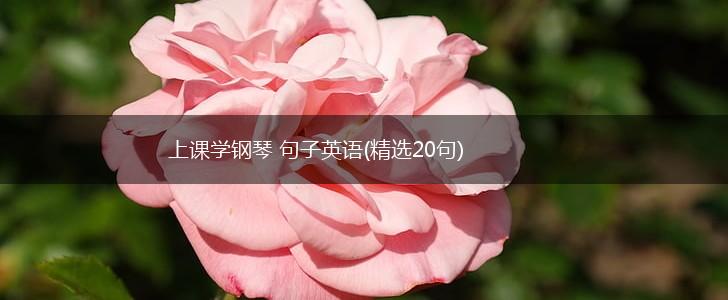 上课学钢琴 句子英语(精选20句),第1张