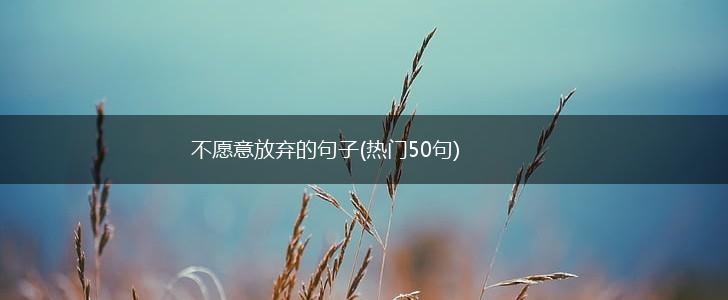 不愿意放弃的句子(热门50句),第1张