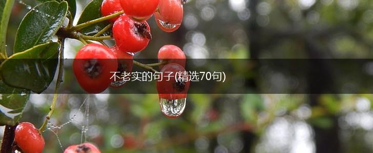 不老实的句子(精选70句),第1张