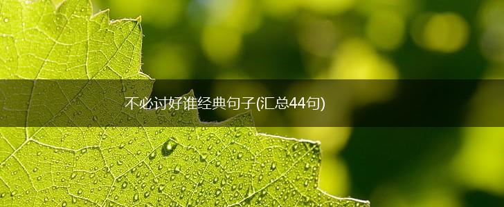 不必讨好谁经典句子(汇总44句),第1张