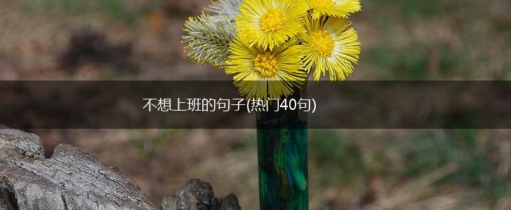 不想上班的句子(热门40句),第1张