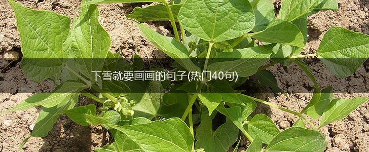 下雪就要画画的句子(热门40句),第1张