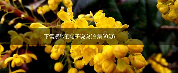 下雪紧张的句子说说(合集50句),第1张