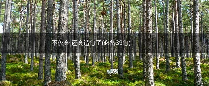 不仅会 还会造句子(必备39句),第1张