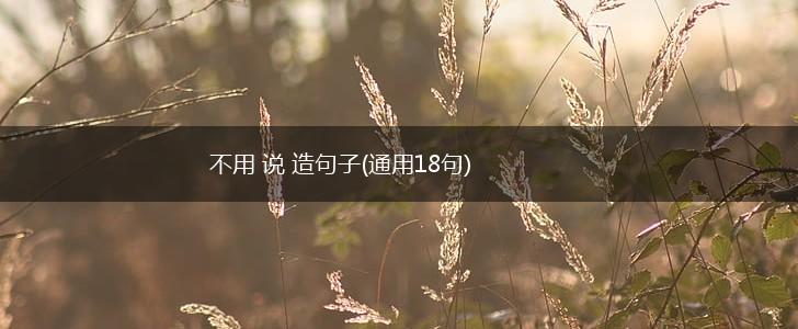 不用 说 造句子(通用18句),第1张