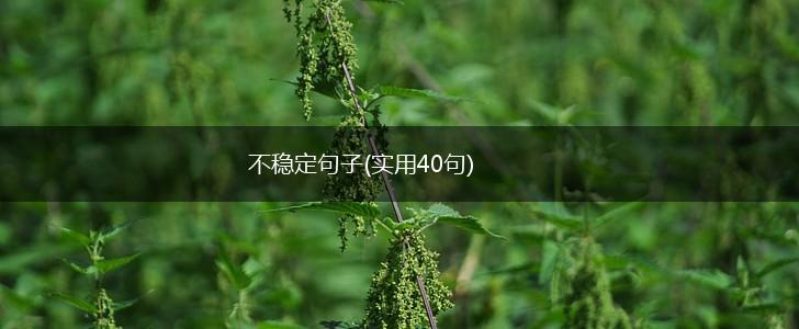 不稳定句子(实用40句),第1张
