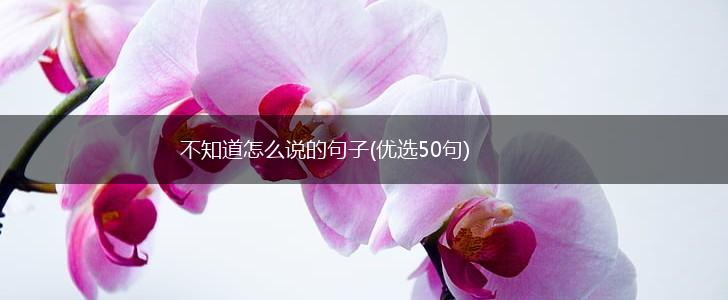 不知道怎么说的句子(优选50句),第1张