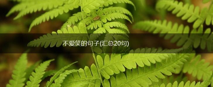 不爱笑的句子(汇总20句),第1张