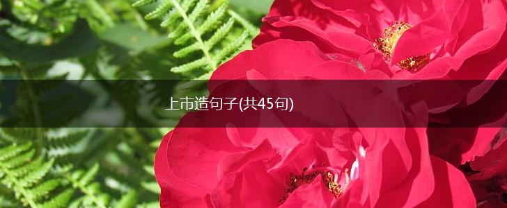 上市造句子(共45句),第1张