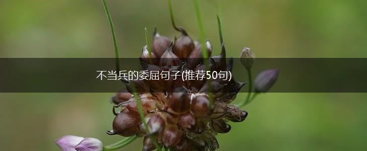 不当兵的委屈句子(推荐50句),第1张