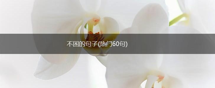 不困的句子(热门60句),第1张