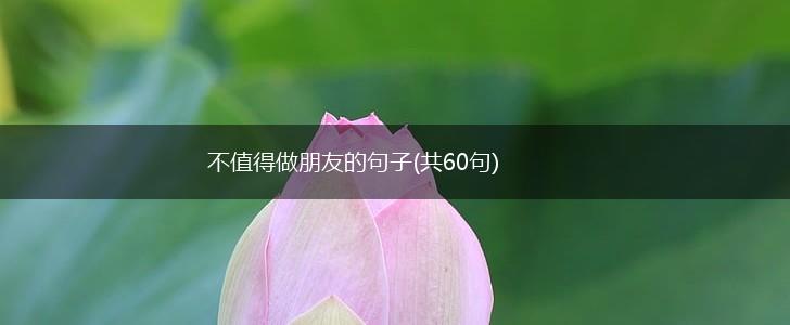 不值得做朋友的句子(共60句),第1张