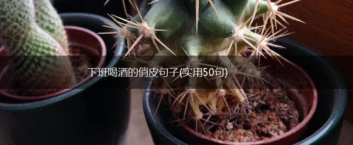 下班喝酒的俏皮句子(实用50句),第1张