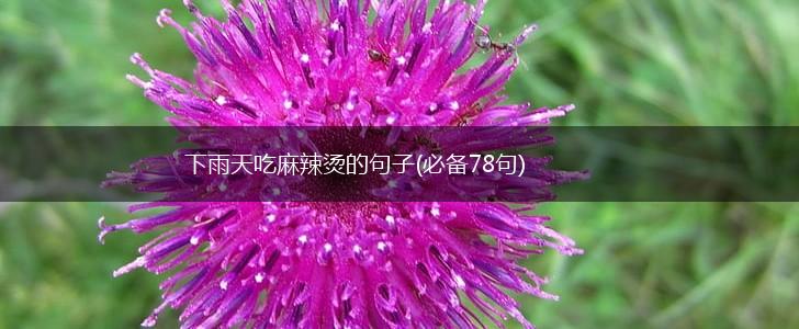 下雨天吃麻辣烫的句子(必备78句),第1张