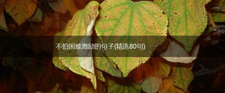 不怕困难激励的句子(精选80句),第1张