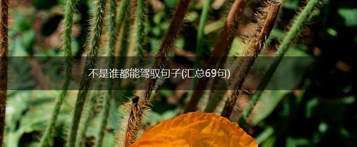 不是谁都能驾驭句子(汇总69句),第1张