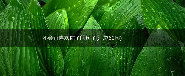 不会再喜欢你了的句子(汇总60句),第1张