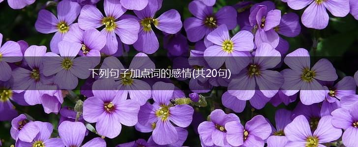 下列句子加点词的感情(共20句),第1张