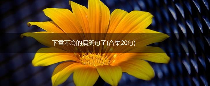 下雪不冷的搞笑句子(合集20句),第1张