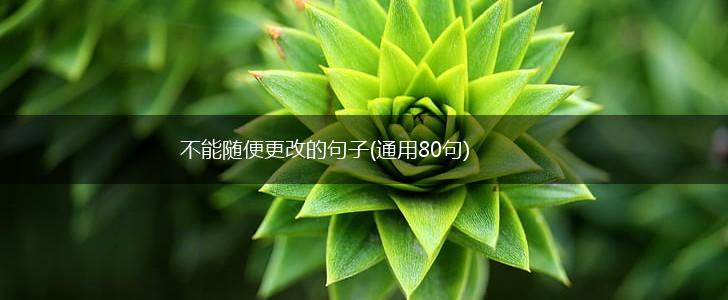 不能随便更改的句子(通用80句),第1张