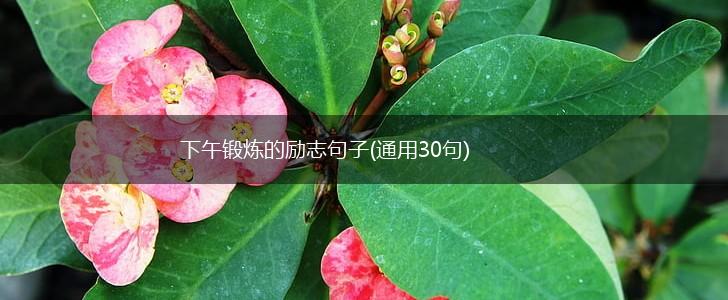 下午锻炼的励志句子(通用30句),第1张