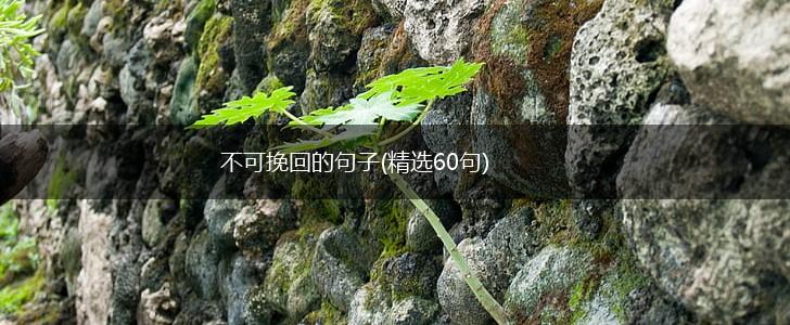 不可挽回的句子(精选60句),第1张