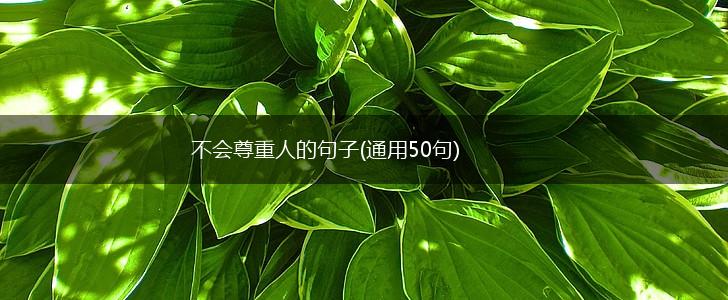 不会尊重人的句子(通用50句),第1张