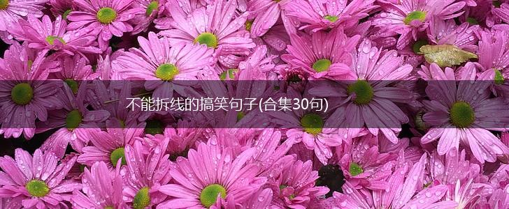 不能拆线的搞笑句子(合集30句),第1张