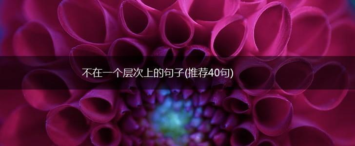 不在一个层次上的句子(推荐40句),第1张