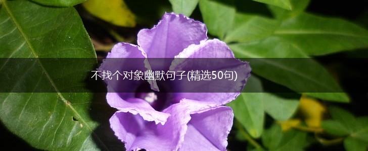 不找个对象幽默句子(精选50句),第1张