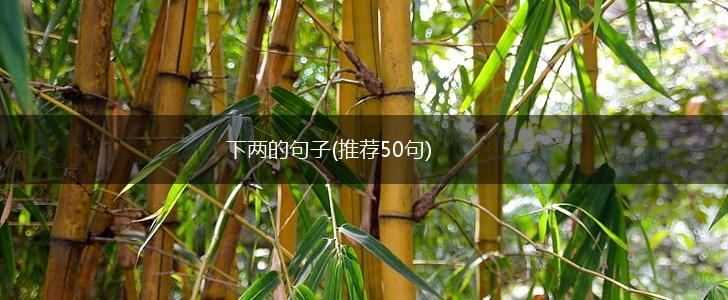 下两的句子(推荐50句),第1张