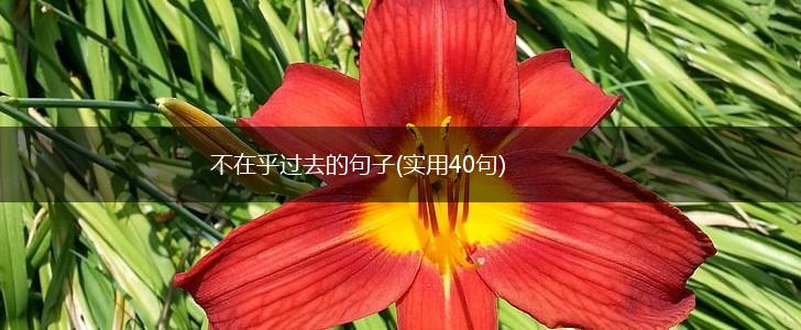 不在乎过去的句子(实用40句),第1张